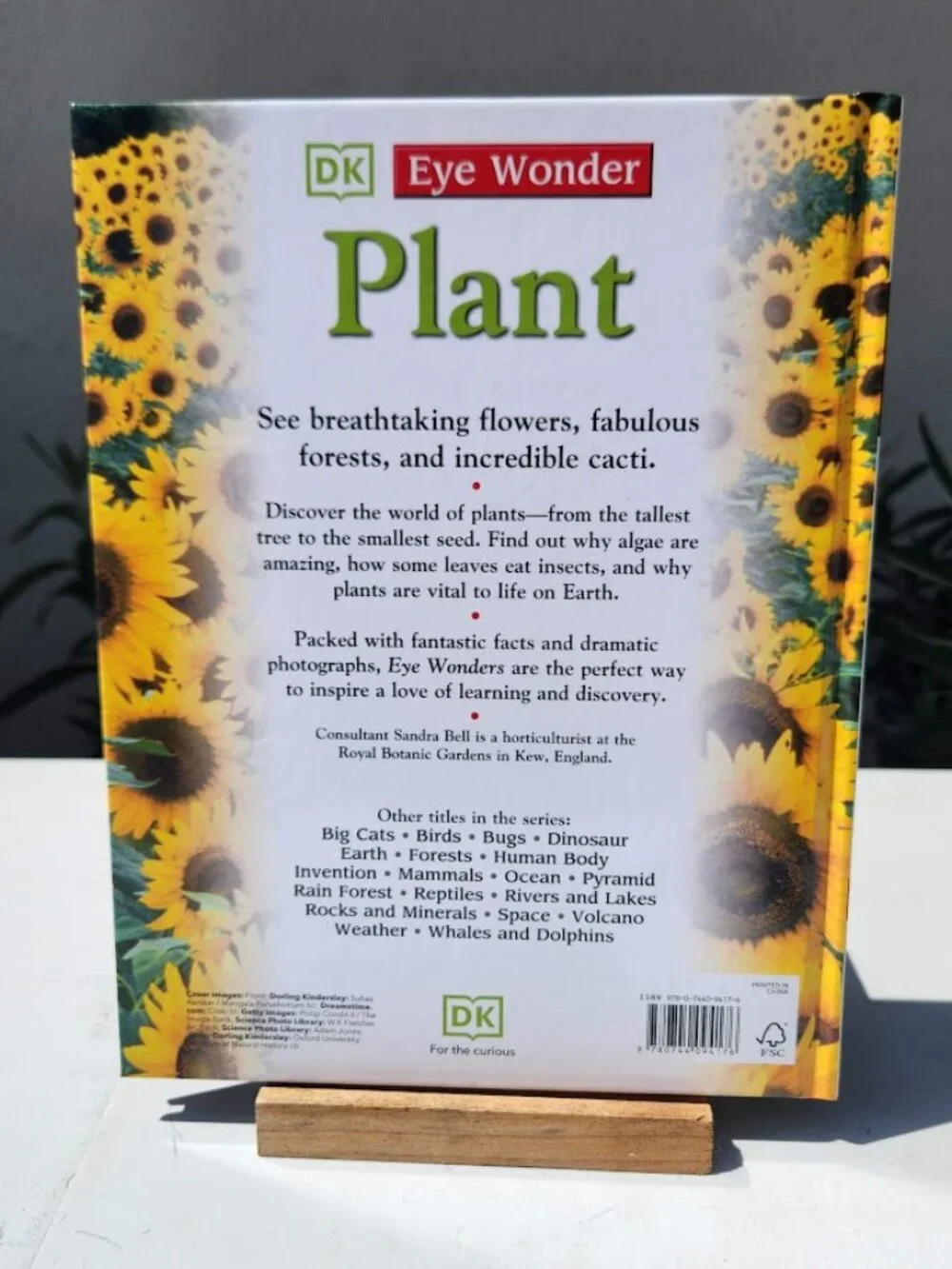 NEW DK Eye Wonder Plant Hardcover Book by David Burnie DK Publishing  48 pages I